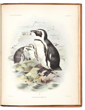 (BIRDS.) Philip Lutley Sclater; and Joseph Smit. Report on the Birds Collected During the Voyage of H.M.S. Challenger